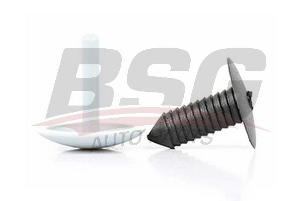 BSG BSG 30-995-012 TRANSIT M15-TURBO DÖSEME KLIPSI TAVAN - TAKIM