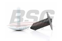 BSG BSG 30-995-012 TRANSIT M15-TURBO DÖSEME KLIPSI TAVAN - TAKIM