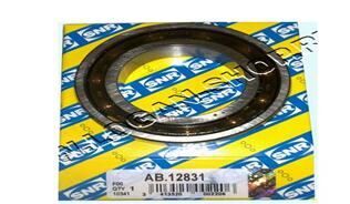 SNR AB12831 DEFRANSİYEL RULMANI KÜÇÜK R9-R11-SAXO-P106 I-II-LOGAN x