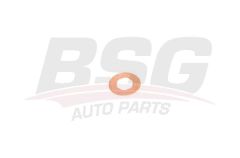 BSG BSG 30-995-049 TRANSIT V347 ENJEKTÖR ALT PULU BAKIR / 1565.AH
