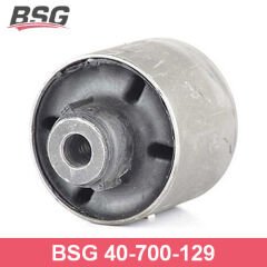 BSG BSG 40-700-129 ACCENT ERA/RIO TRAVERS BURCU ARKA DINGIL BURCU : ARKA