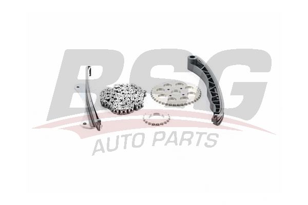 BSG BSG 25-102-001 ALBEA/DOBLO/PALIO/PUNTO/LINEA/EGEA/FIORINO/ASTRA/CORSA/COMBO EKSANTRIK ZINCIR SETI ZINCIR-2 KIZAK-EKSANTRIK DISLI-KRANK DISLI-ZINCIR GERGISI