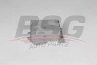 BSG BSG 15-506-034 LAND ROVER RANGE ROVER V- IV- SPORT YAG SOGUTUCUSU