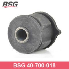 BSG BSG 40-700-018 ACCENT MIL/ACCENT ADM DENGE KOL BURCU ARKA KÜPELI