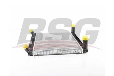 BSG BSG 15-535-024 LAND ROVER RANGE ROVER III - SPORT TURBO RADYATÖRÜ LR007170