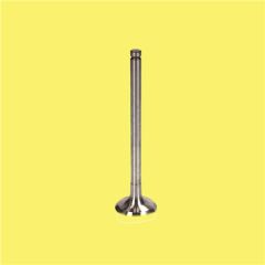 GUNES 6658-6659 SUPAP TAKIMI UC TIRNAK FORD FOCUS FIESTA 1.4 ZETEC 02>