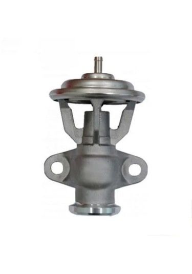 BSG 60-836-001 MERCEDES SPRINTER312,412.D -VITO.110.D EGR VENTILI