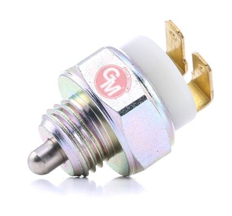 GUA 42131 GERİ VİTES MÜŞÜRÜ PEUGEOT J9 / KARSAN PREMİER