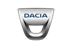 MAIS 12KDR00469 DACIA MAVİ BAYRAK11 M DİREK (