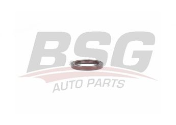 BSG BSG 30-116-113 FOCUS/CONNECT EKSANTRIK KEÇESI