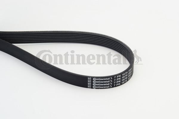 CONTI 7PK1970 KANALLI KAYIS MERCEDES ALFA ROMEO LANCIA NISSAN OPEL RENAULT TOYOTA