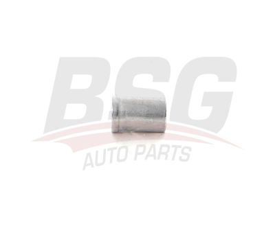 BSG BSG 30-116-180 FOCUS/C-MAX ENJEKTÖR SOMUNU