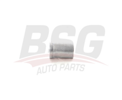 BSG BSG 30-116-180 FOCUS/C-MAX ENJEKTÖR SOMUNU