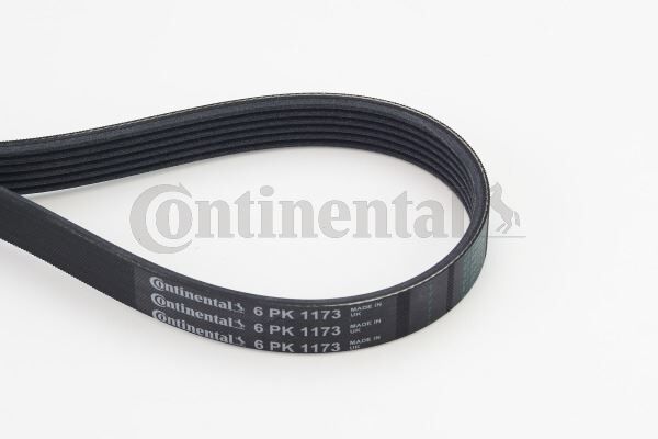 CONTI 6PK1173 KANALLI KAYIS BMW AUDI CITROEN HONDA INFINITI NISSAN PEUGEOT RENAULT TOYOTA VOLVO