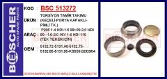 BSC 513272 TORSİYON TAMİR TAKIMU KEÇELİ-PORYA KAPAKLI-PİMLİ TK. P206 1.4 HDI-1.6 98>09-2.0HDI 90-1.6-2.0 16V 1. 6HDI 110 TEK TEKER İÇİN