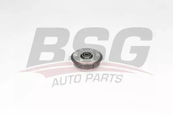 BSG BSG 15-109-004 E81-E82-E87-E88-E90-E91-E92-E93-E60-E61-E63-E64-F10-F11 VANOS EGZOZ