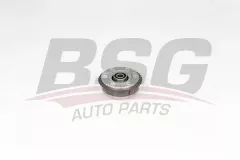 BSG BSG 15-109-004 E81-E82-E87-E88-E90-E91-E92-E93-E60-E61-E63-E64-F10-F11 VANOS EGZOZ