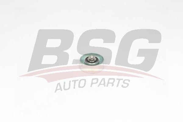 BSG BSG 15-615-010 E46-E60-E61-E63-E64-E65-E66-X3 E83-X5 E53 V KAYIS GERGI RULMANI
