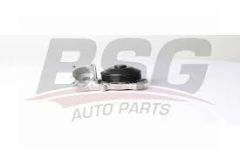 BSG BSG 15-500-020 E81-E82-E87-E88-E90-E91-E92-E93-E60-E61-X1 E84-X3 E83 LCI DEVIRDAIM
