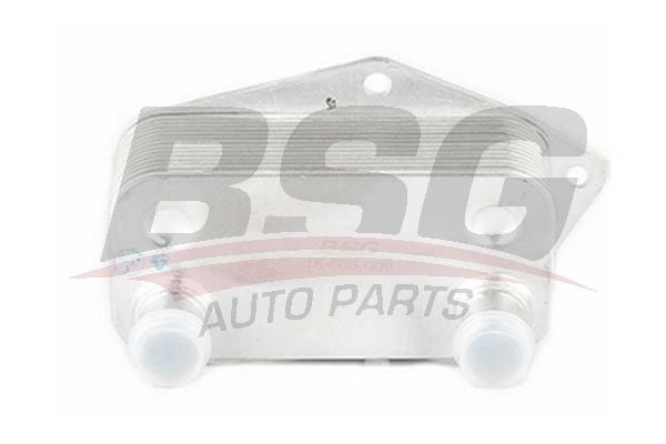 BSG BSG 15-506-006 E46-E39 YAG SOGUTUCUSU