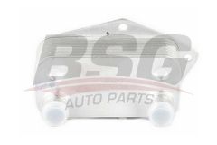 BSG BSG 15-506-006 E46-E39 YAG SOGUTUCUSU