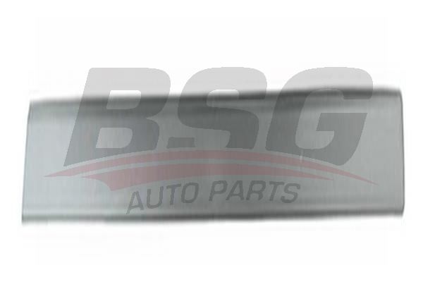BSG BSG 30-924-036 FUSION KAPI BANDI ÖN SAG (5 KAPI) (GRI)
