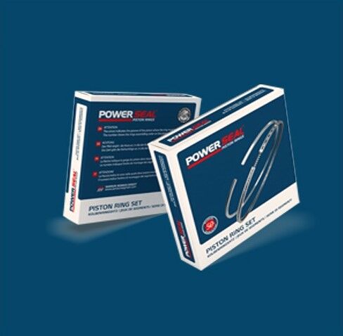 POWERSEAL 19008001-00 MOTOR SEGMANI R19-EXP-KNG 1.9 DZL F8Q 80.00 mm STD