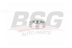 BSG BSG 15-605-035 LAND ROVER RANGE ROVER SPORT - IV - EVOQUE TEKER RULMANI ARKA TEK RULMAN