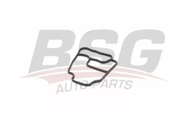 BSG BSG 15-116-008 E34-E36-E38-E39-E46-E60-E61-E65-E66-X3 E83-X5 E53 YAG FILTRE HAZNE CONTASI