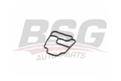 BSG BSG 15-116-008 E34-E36-E38-E39-E46-E60-E61-E65-E66-X3 E83-X5 E53 YAG FILTRE HAZNE CONTASI