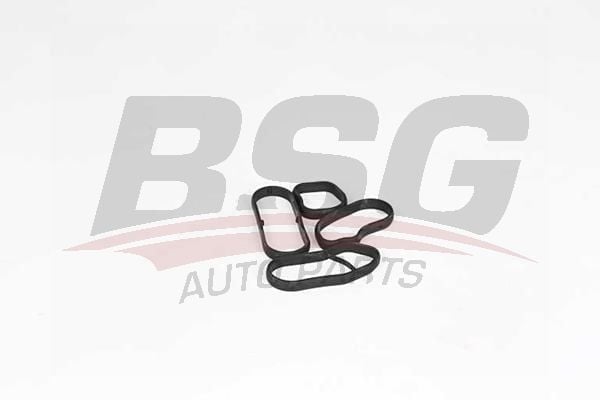BSG BSG 15-116-020 1F52-2F45-F46-X1 F48-X1 F49-X2 F39-MINI F54-F55-F56-F57-F60 YAG RADYATÖR CONTASI