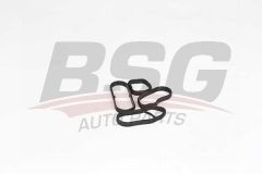 BSG BSG 15-116-020 1F52-2F45-F46-X1 F48-X1 F49-X2 F39-MINI F54-F55-F56-F57-F60 YAG RADYATÖR CONTASI