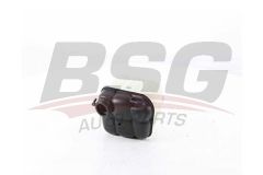 BSG 60-550-001 MERCEDES W140 RADYATÖR YEDEK SU DEPOSU