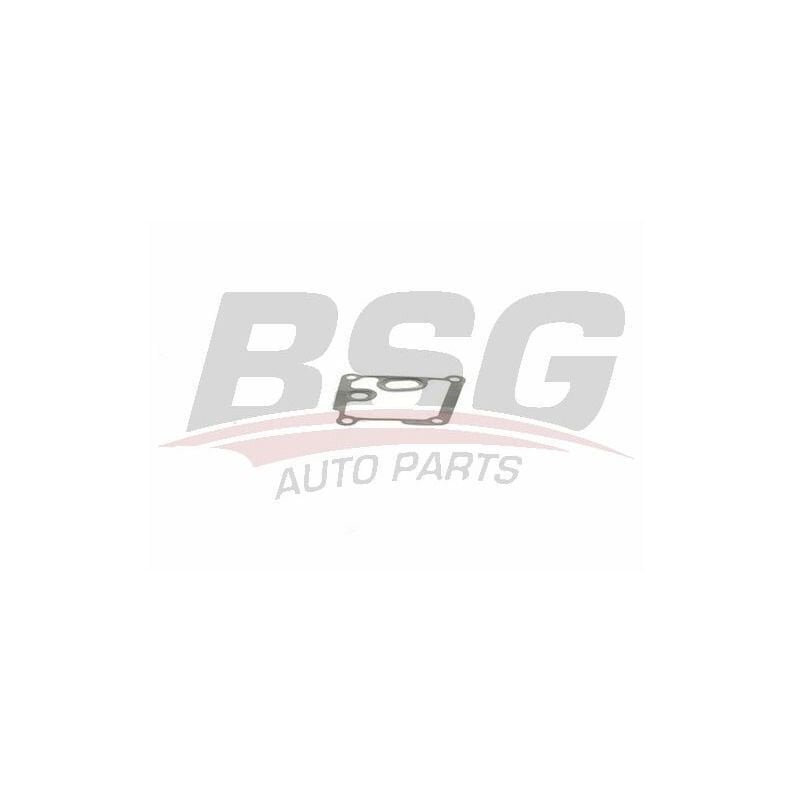BSG BSG 15-116-005 E81-E82-E88-F20-F21-F22-2F45-F46-E90LCI-E91LCI-E92LCI-E93LCI-F30-F31-F34-4F32-F33-F36-F07-F10-F11-X1 E84-X3 F25-X5 F15-X6 F16 SILINDIR KAPAK ARA GÖVDE CONTASI