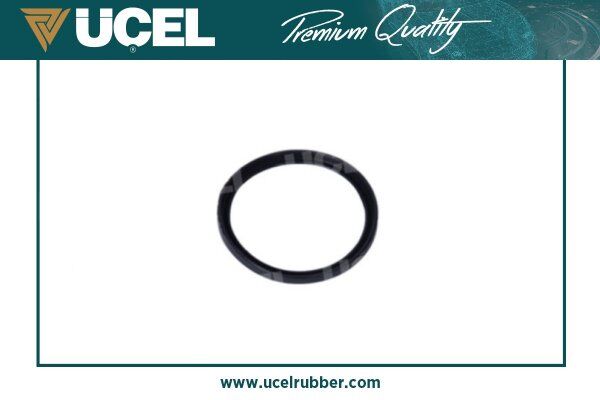 UCEL S15598 TURBO BORU CONTASI RENAULT MEGANE III 1.5 DCI