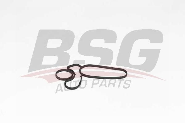 BSG BSG 15-116-021 E46-E90-E91-E92-E93-E60-E61-E63-E64-E65-E66-X3 E83-X5 E53-X5 E70-X6 E71 YAG RADYATÖR CONTASI