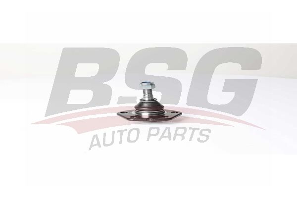 BSG BSG 25-310-031 DUCATO/CITROEN/PEUGEOT ROTIL ALT