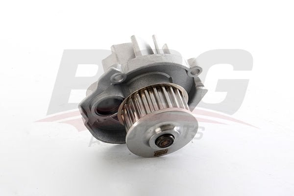 BSG BSG 25-500-011 G.PUNTO/BRAVO II/LINEA/EGEA/500 DEVIRDAIM SU POMPASI