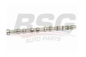 BSG 75-108-008 RENAULT R9/R11/R12/R19 EKSANTRİK MİLİ