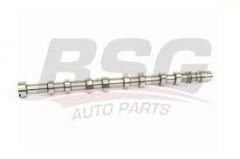 BSG 75-108-008 RENAULT R9/R11/R12/R19 EKSANTRİK MİLİ