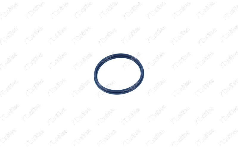 NIFEA 19321 EMME MANİFOLD CONTASI FORD TRANSİT 01> 2.4 TDCİ