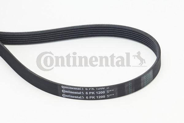 CONTI 6PK1200 KANALLI V KAYIŞI RENAULT CLIO II-III FLUENCE 09>KANGOO 01>MEGANE II-III SCENIC II-III SYMBOL II 08> DOKKER 12>DUSTER 10> 1.5dCİ 1.6 PSA 206-406-XSARA 1.8 16V 2.0 16V 6PK1200