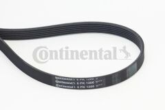 CONTI 6PK1200 KANALLI V KAYIŞI RENAULT CLIO II-III FLUENCE 09>KANGOO 01>MEGANE II-III SCENIC II-III SYMBOL II 08> DOKKER 12>DUSTER 10> 1.5dCİ 1.6 PSA 206-406-XSARA 1.8 16V 2.0 16V 6PK1200