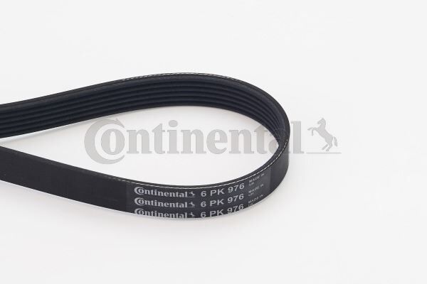 CONTI 6PK976 KANALLI KAYIŞ P207-P307-BERLINGO-C2-C3-C4-C5-FIESTA VI-FOCUS II-GOLF III-IV-PASSAT 1.4-1.6-1.8 HDI