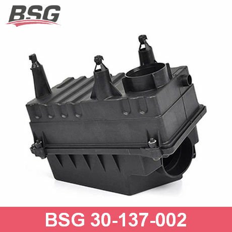 BSG BSG 30-137-002 FOCUS HAVA FILTRE KUTUSU
