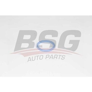 BSG BSG 30-116-034 TRANSIT V-347 EMME MANIFOLD BOGAZ LASTIGI