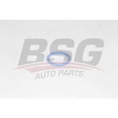 BSG BSG 30-116-034 TRANSIT V-347 EMME MANIFOLD BOGAZ LASTIGI