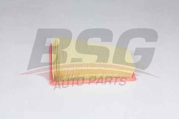 BSG BSG 15-135-019 F07-F10-F11-F18-X1 E84-Z4 E89 HAVA FILTRESI C27125-LX 2787-48526-E1058L