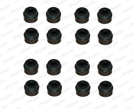 PAYEN HR814 SUBAP LASTIGI MERCEDES OM699 W470 RENAULT MASTER II 06>MASTER III 10> TRAFIC II 06>LAGUNA III 07>15 NAVARA 15> 2.0dCi M9R 2.3dCi M9T