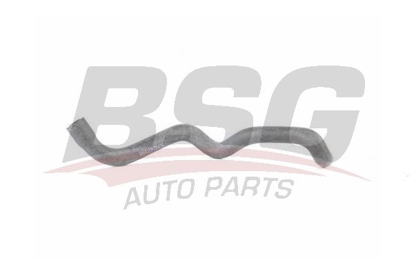 BSG BSG 15-720-004 E36 SU HORTUMU